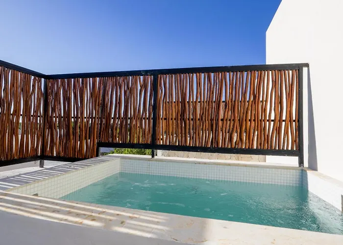 Divine House With Private Roof And Pool Only 1km From The *